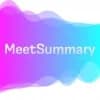 Meetsummary Logo