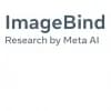 ImageBind By Meta Logo