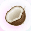 Coconote Logo