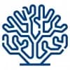 Coral AI Logo