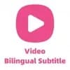 Immersive Translate Logo