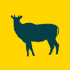 NilgAI Travel Logo