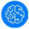 Nubrain.ai Logo