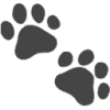 Pet Lens AI Logo