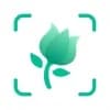 PictureThis Logo