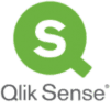 Qlik Logo