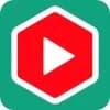 YouTube Summarizer with ChatGPT Logo
